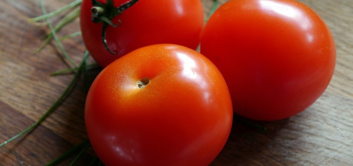 Tomate : Les débuts du chauffage infrarouge en serre hors-sol