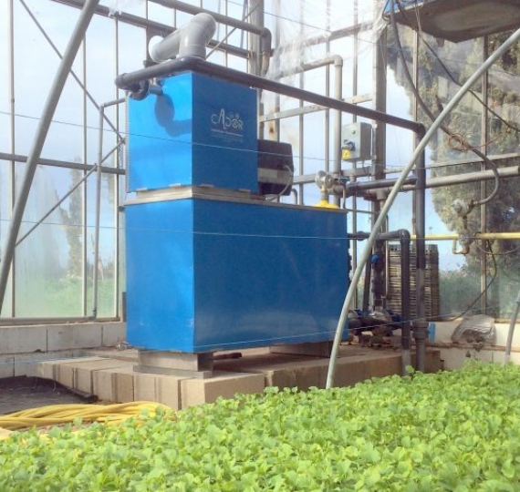 Installation d’une chaudière MiniCal de 200kw dans une serre de jeunes plants