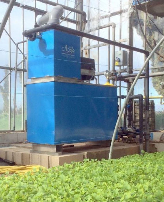 Installation d’une chaudière MiniCal de 200kw dans une serre de jeunes plants