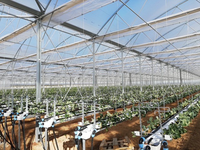 La construction d'une serre, Horticulture ornementale - serre -  Agri-Réseau