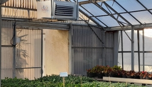 Ventilateur brasseur d'air pour serres horticoles et maraîchères- Caldor